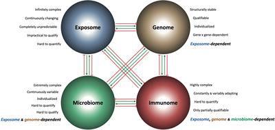 Inflammatory Bowel Disease Therapy: Beyond the Immunome